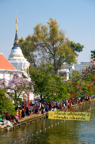 Moats Of Chiang Mai